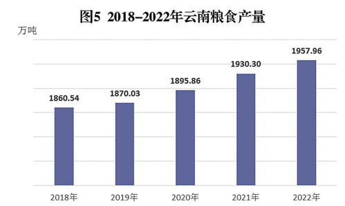 云南省2022年國民經濟和社會發展統計公報解讀與咨詢服務啟示