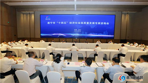 擘畫藍(lán)圖聚智慧，精準(zhǔn)把脈謀發(fā)展——我市成功召開“十四五”經(jīng)濟(jì)社會(huì)高質(zhì)量發(fā)展專家咨詢會(huì)
